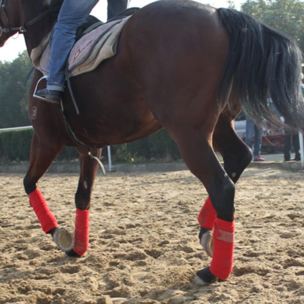 Horse Leg Straps Leg Wraps Leg Bandage Set view 2