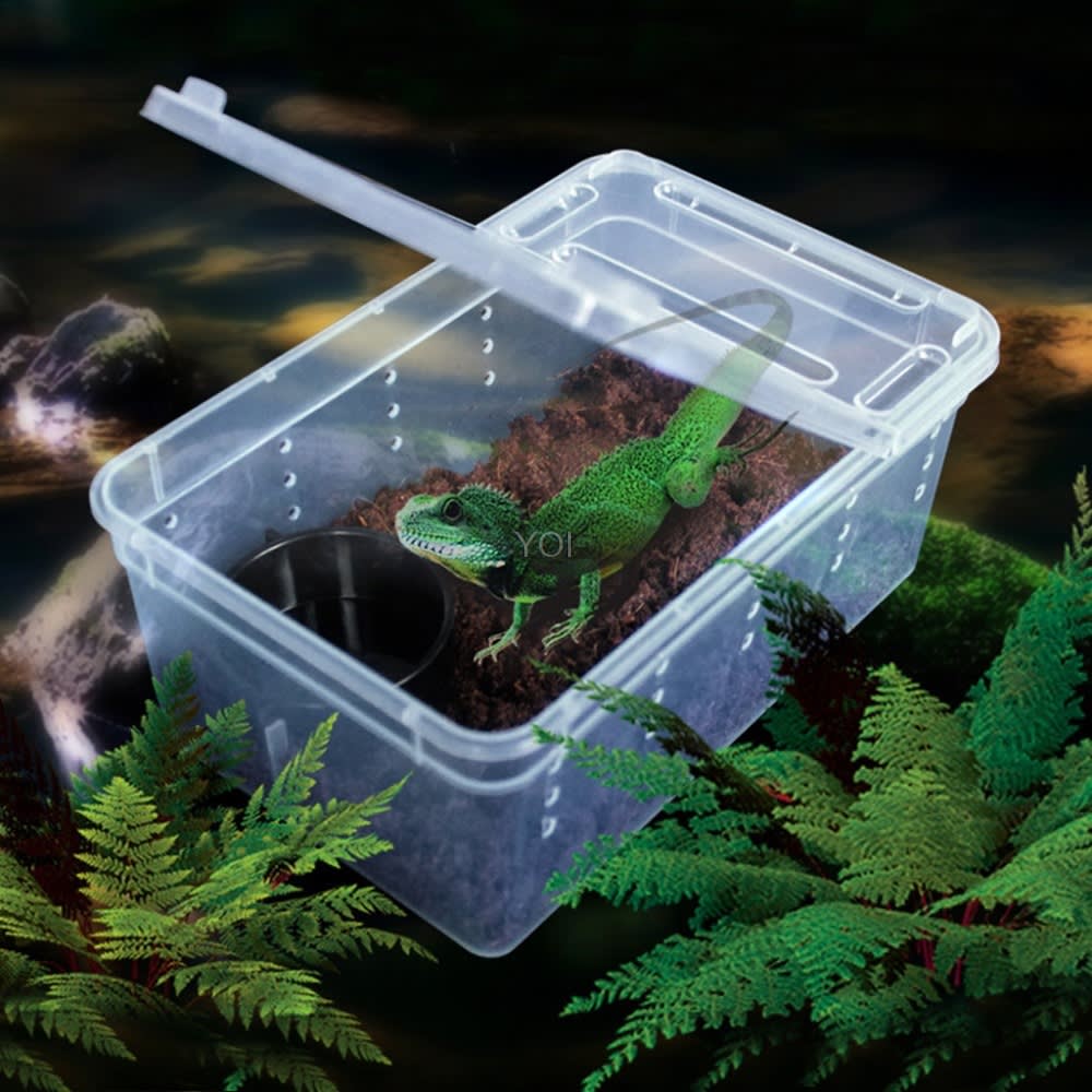 Plastic transparent reptile feeding box view 2