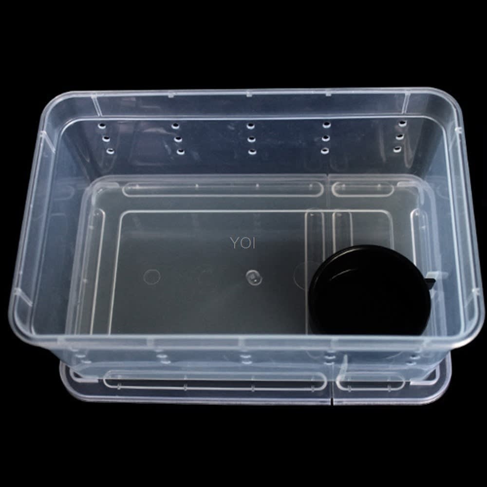 Plastic transparent reptile feeding box view 5