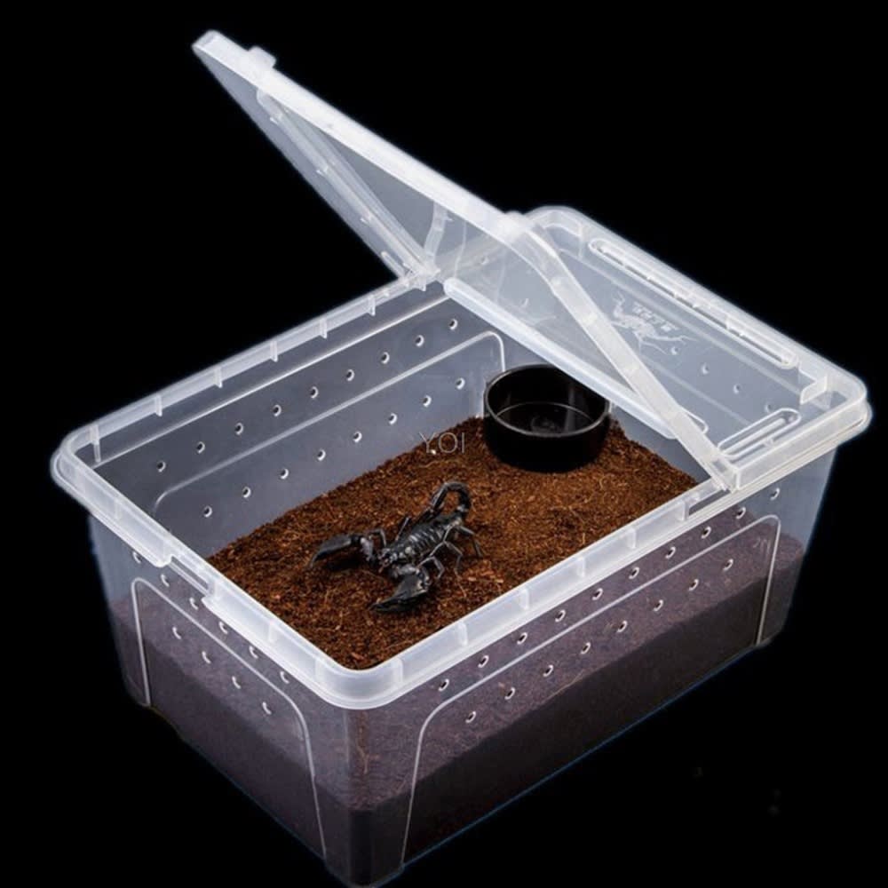 Plastic transparent reptile feeding box view 4