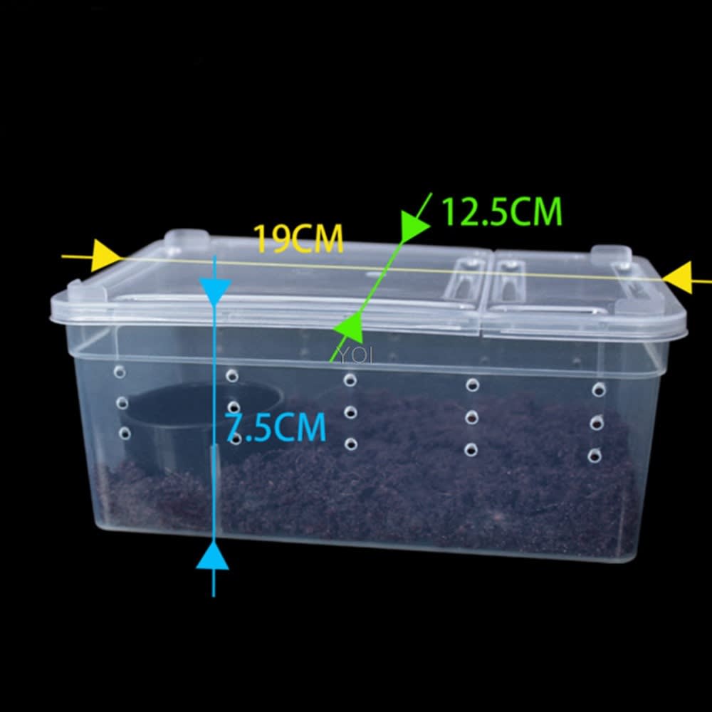 Plastic transparent reptile feeding box view 3