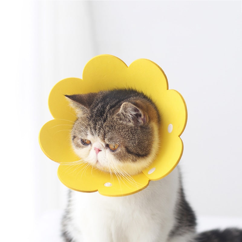 Cat Anti - Lick Shame Circle view 7