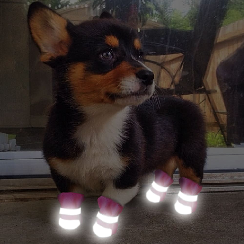 Comfortable And Breathable Pet Shoes view 3