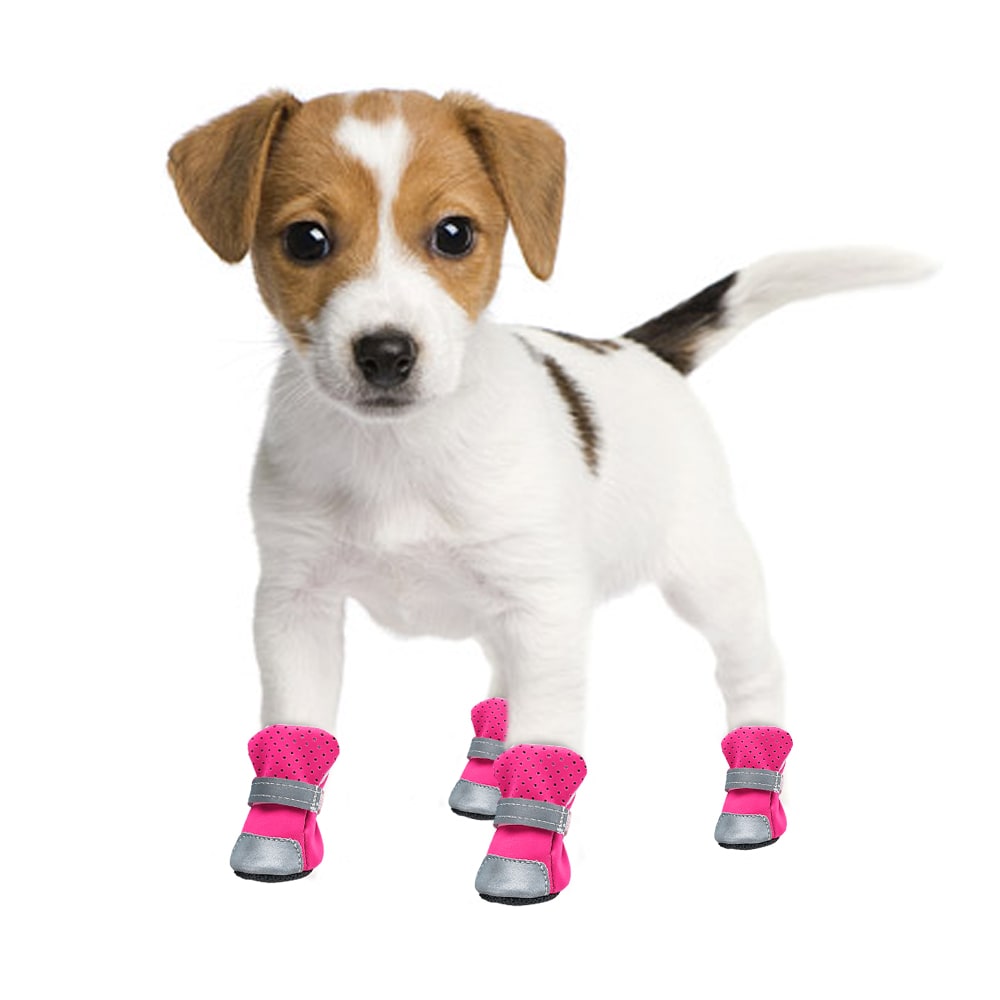 Comfortable And Breathable Pet Shoes view 7