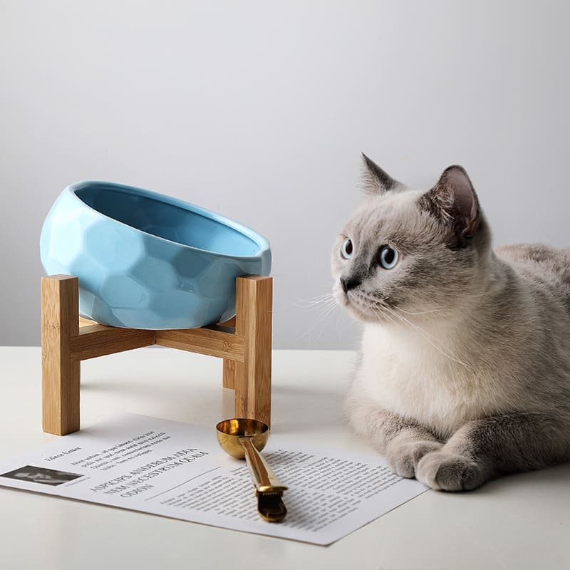 Pet bowl oblique mouth cat bowl food bowl dog bowl method bucket food bowl view 1