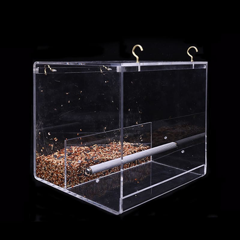 Acrylic bird feeder view 5