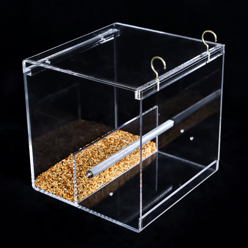 Acrylic bird feeder view 4