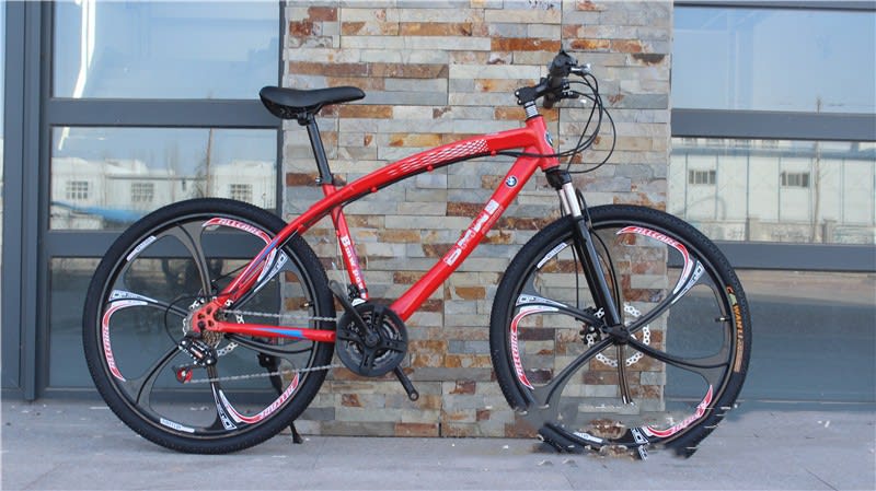 BMW Cross Country Mountain Bike Double Disc Brake view 4
