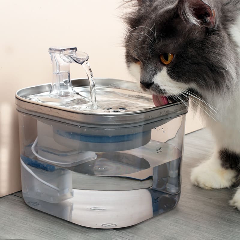 Pet Cat Dog Stainless Steel Automatic Circulation Water Dispenser Intelligent Fountain Pets Accessories view 9