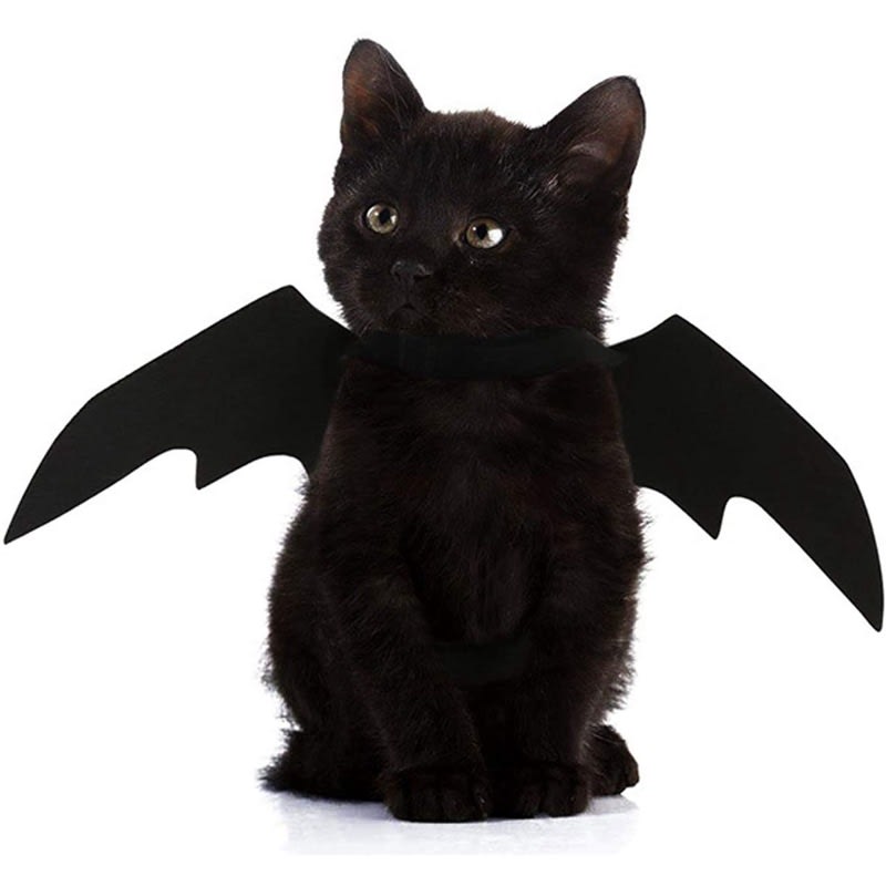 Halloween Pet Bat Wings Cat Dog Decoration Supplies view 5