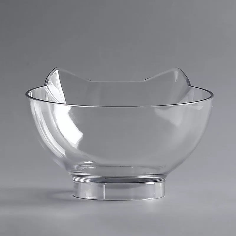 Cat Elevated Feeder Stand With Transparent Bowl view 17