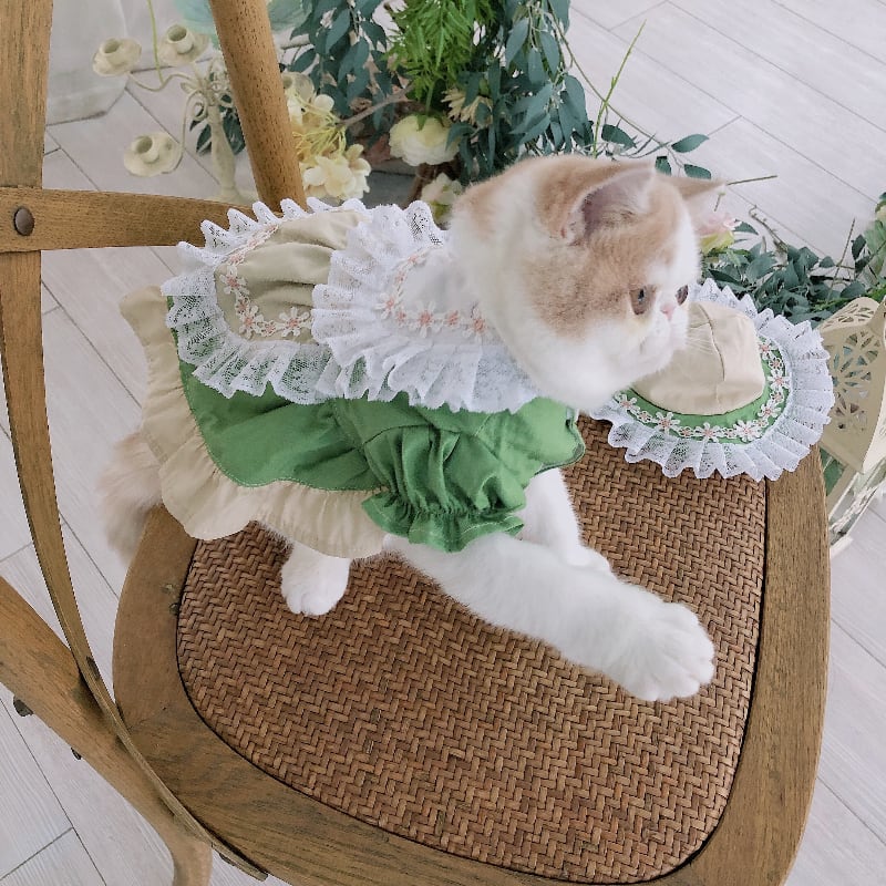 Maid Clothes Lolita Dog Suit Cat Hat view 2