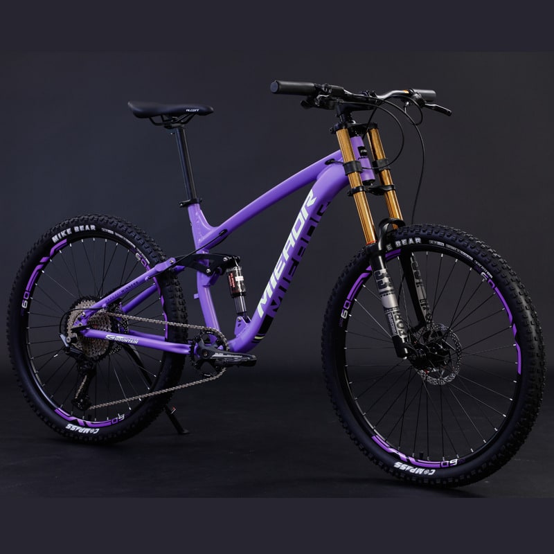 Aluminum Alloy Soft Tail Oil Brake Damping Mountain Bike Bicyc view 2