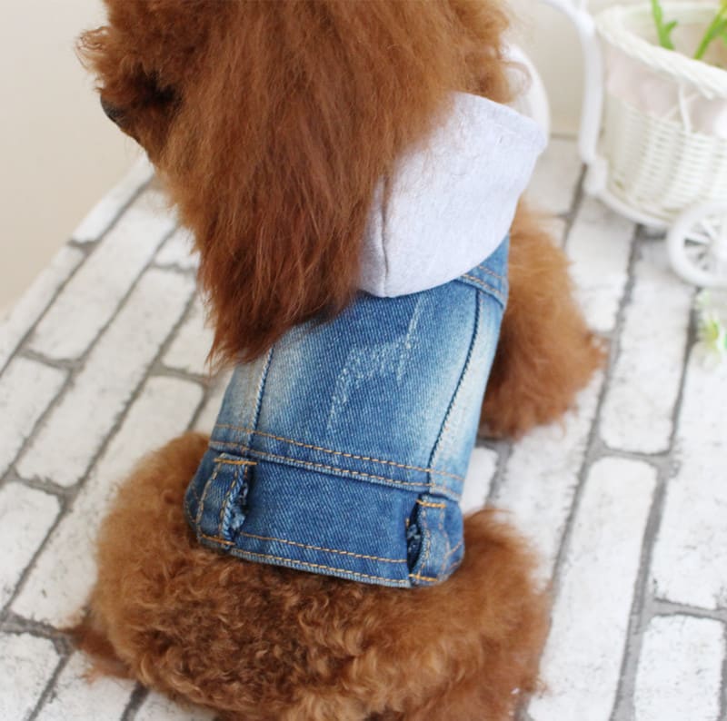 Summer Bichon Hooded Cowboy view 6