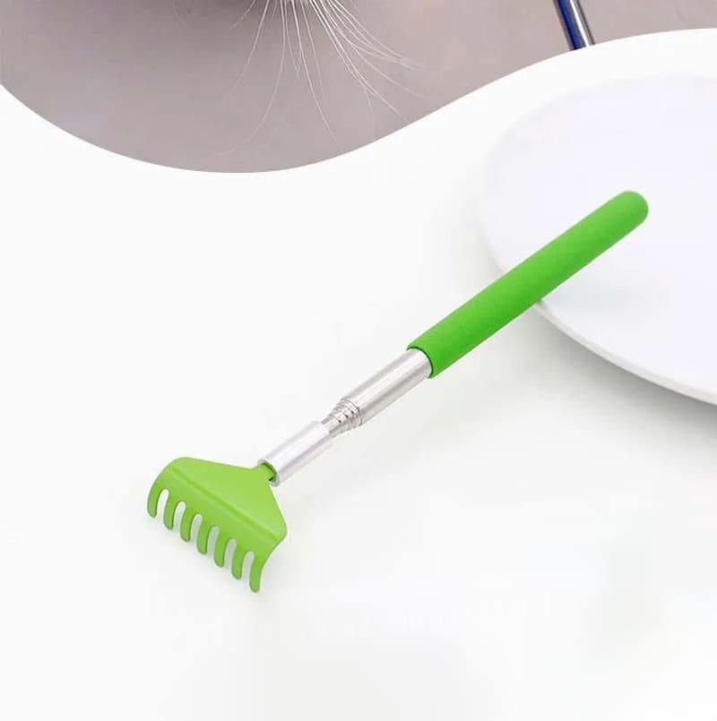 Cat Interactive Scratching Toy Massage Brush Pet Products Cat Scratching view 5