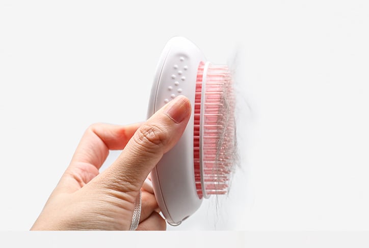 Brush Brush Cat Hair White Pet view 5
