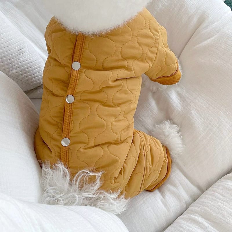 Teddy Thickened Bomei Clothes Than Bear view 5