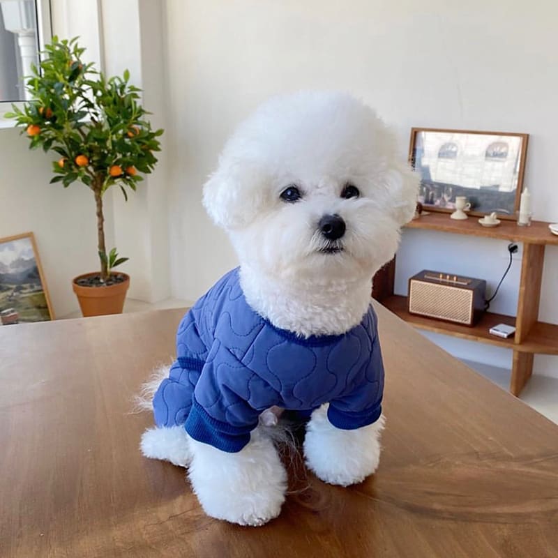 Teddy Thickened Bomei Clothes Than Bear view 4