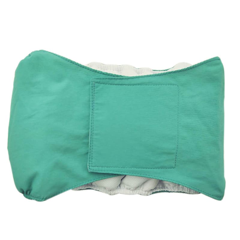 Pet-specific Dog Physiological Belt Diaper view 11