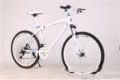 BMW Cross Country Mountain Bike Double Disc Brake view 2