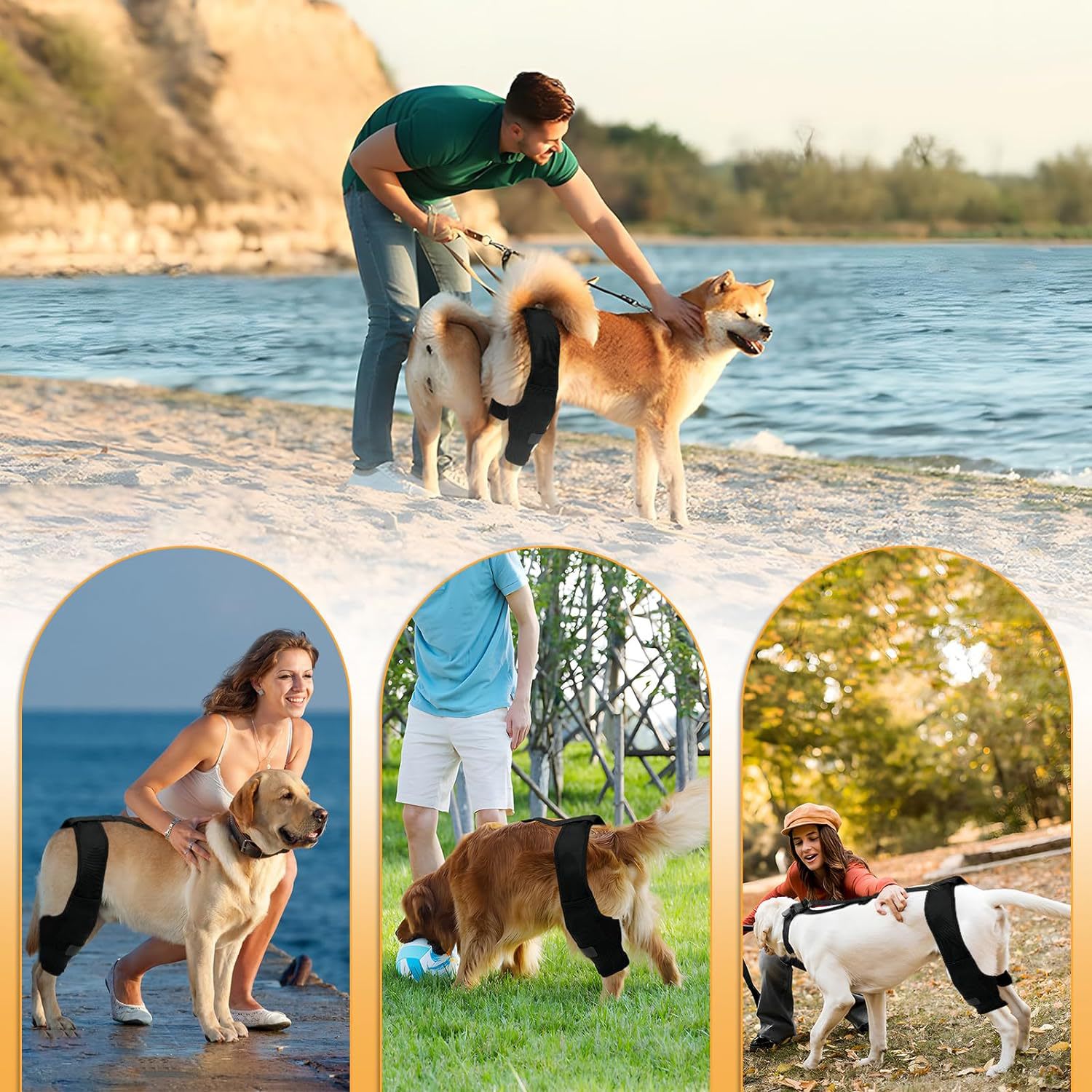 Leg Protector For Dogs Knee Brace Auxiliary Belt Joint Protection Pet Supplies Great Deal view 8