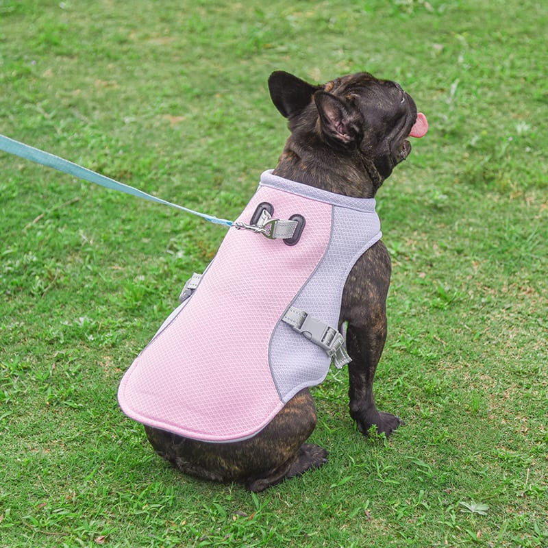 Summer Pet Outdoor Breathable Cooling Vest view 2