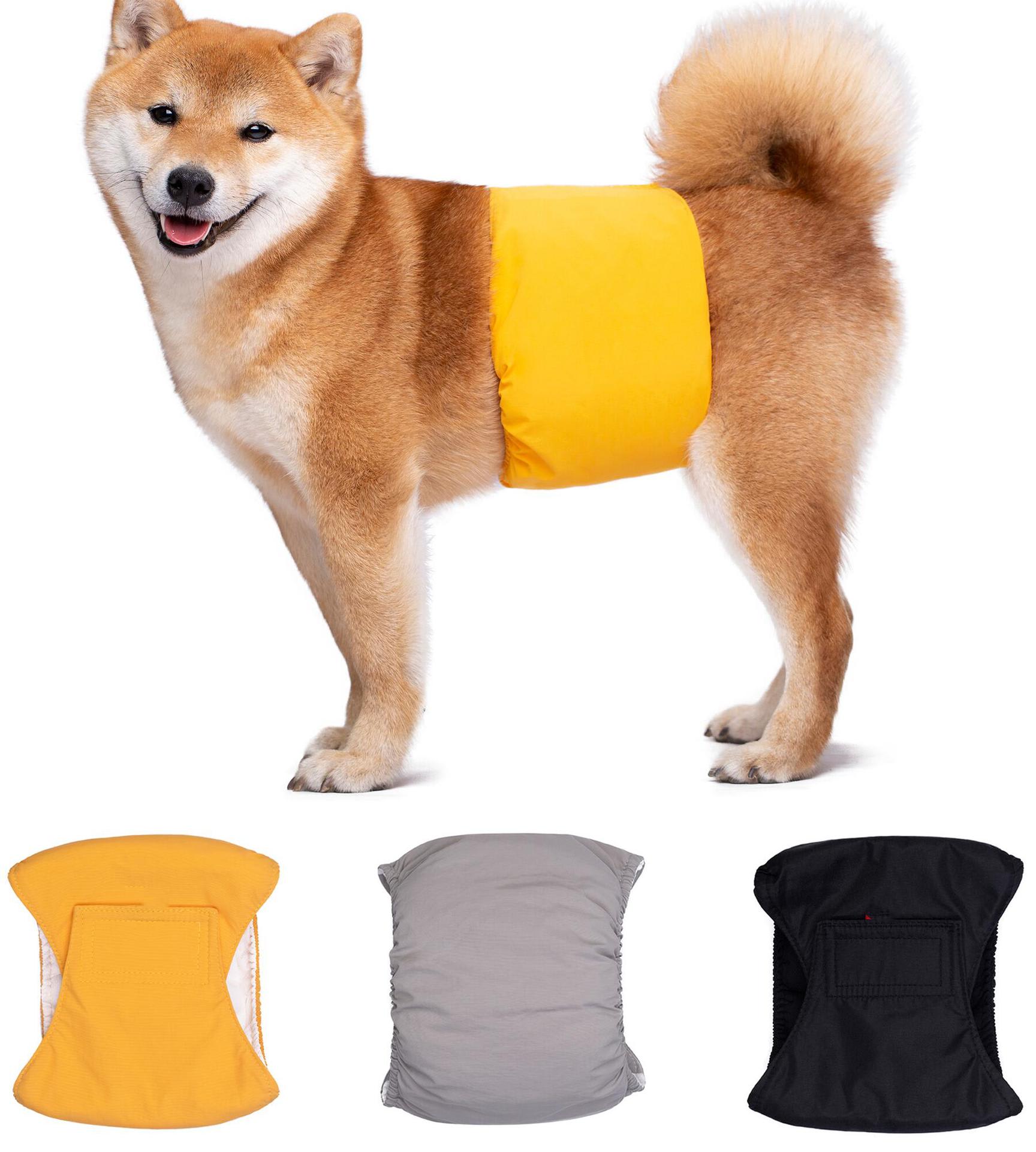 Pet-specific Dog Physiological Belt Diaper view 8