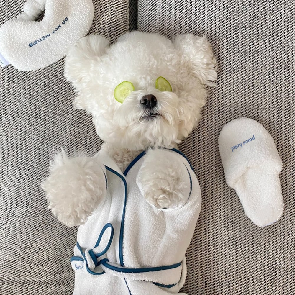 Hotel Pet Bath Towel Bathrobe Photo Props view 4