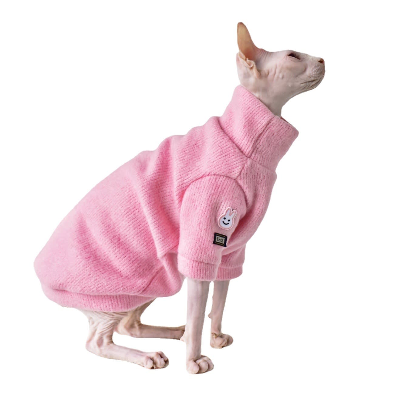 Thickened Warm Hairless Cat Coat In Winter view 5