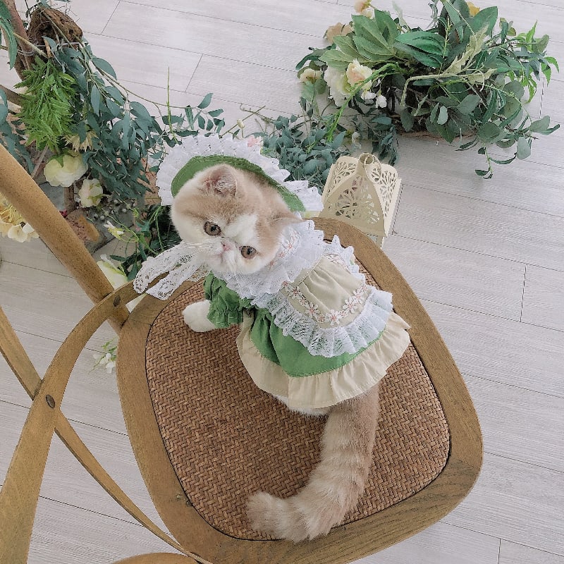 Maid Clothes Lolita Dog Suit Cat Hat view 4