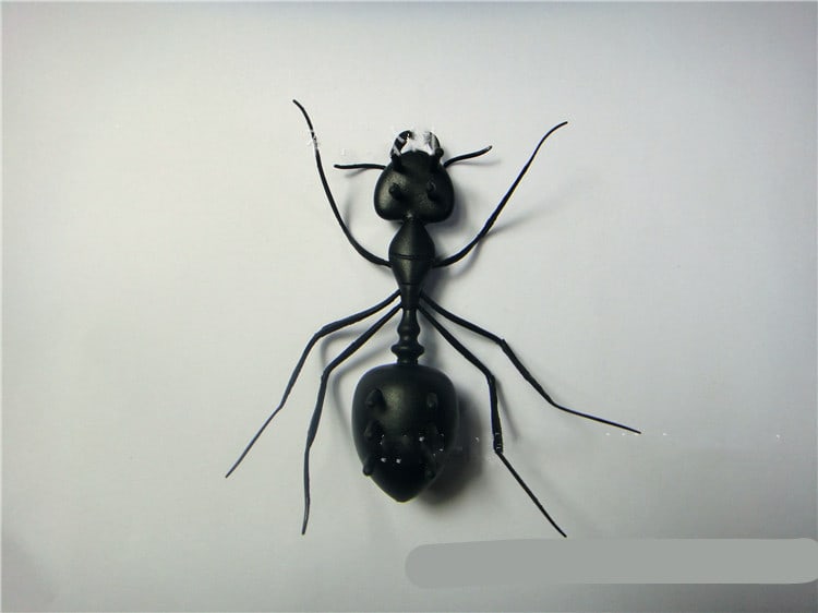 Solar Ant Baby Electronic Pet Toy view 1