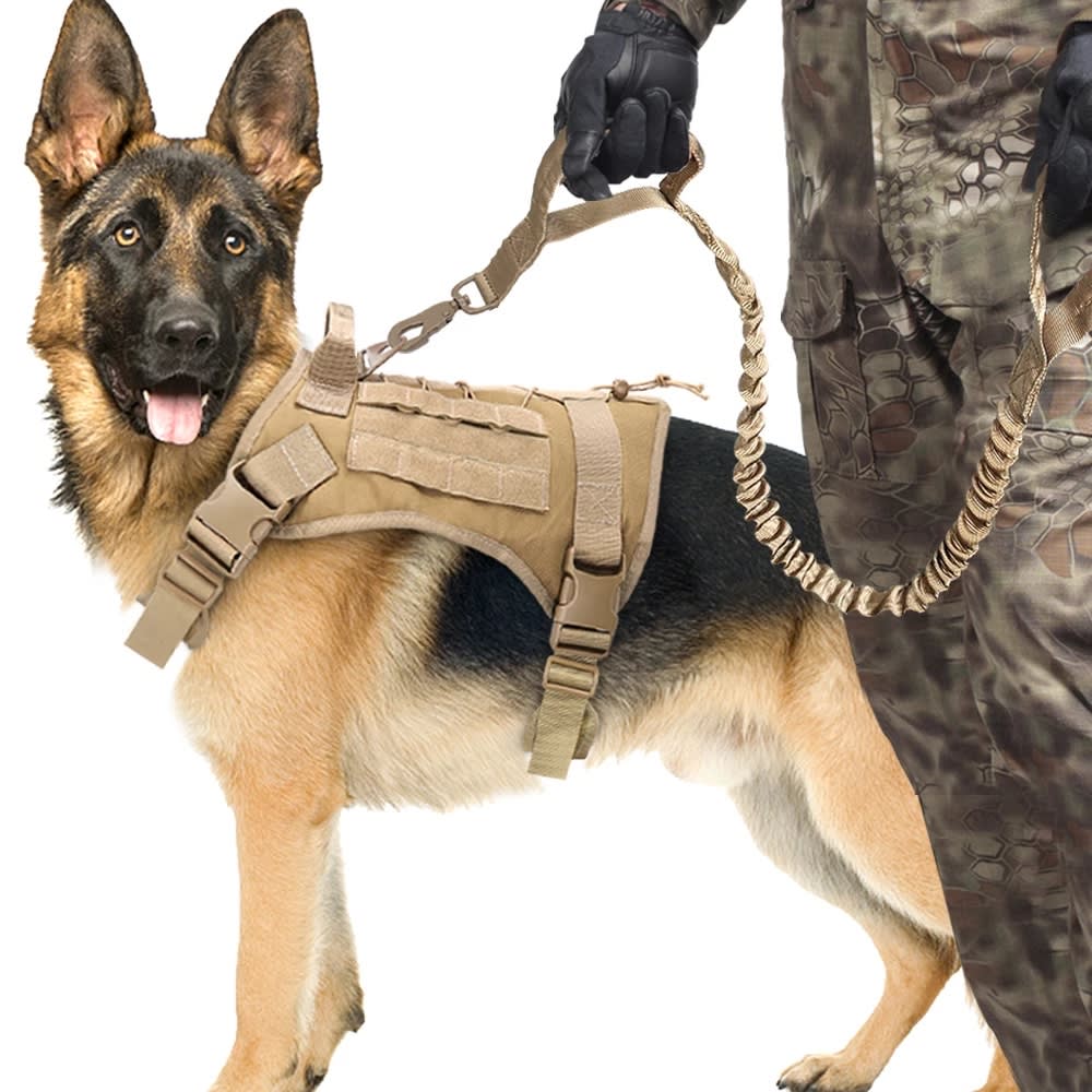 Elastic Buffer Of Outdoor Pet Traction Rope view 7