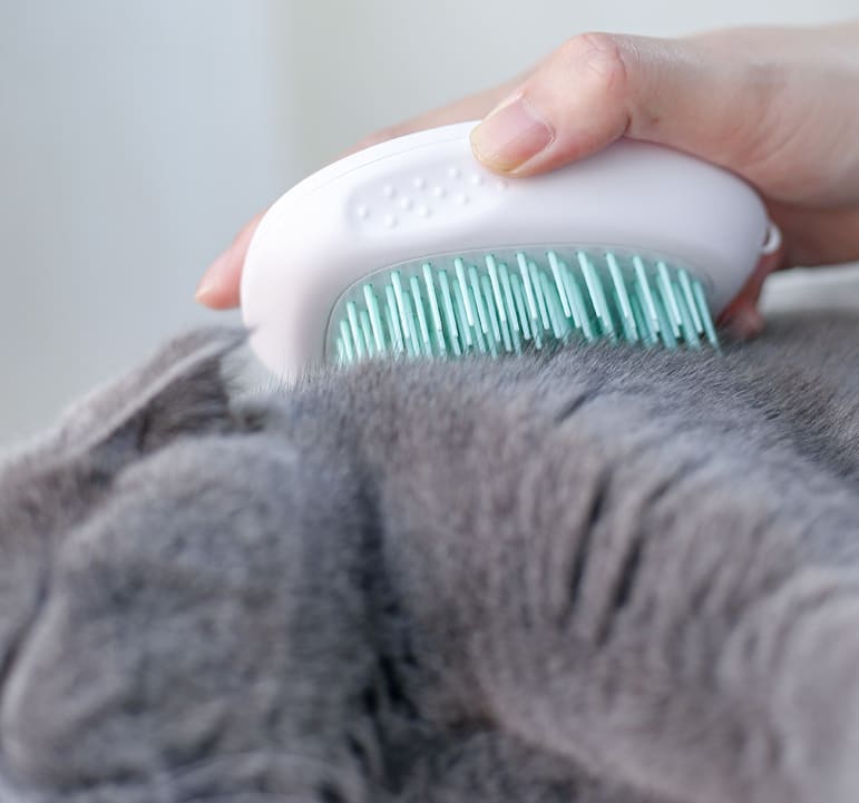 Brush Brush Cat Hair White Pet view 9