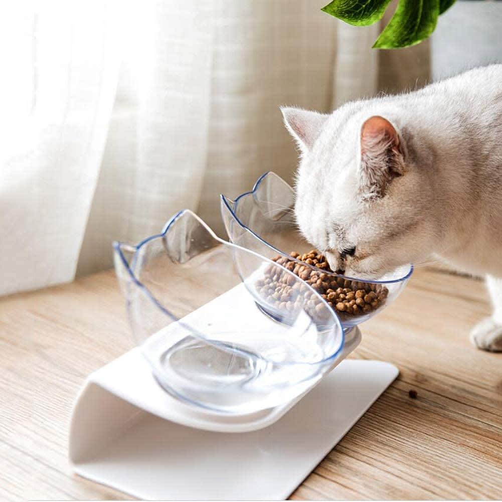 Cat Elevated Feeder Stand With Transparent Bowl view 3