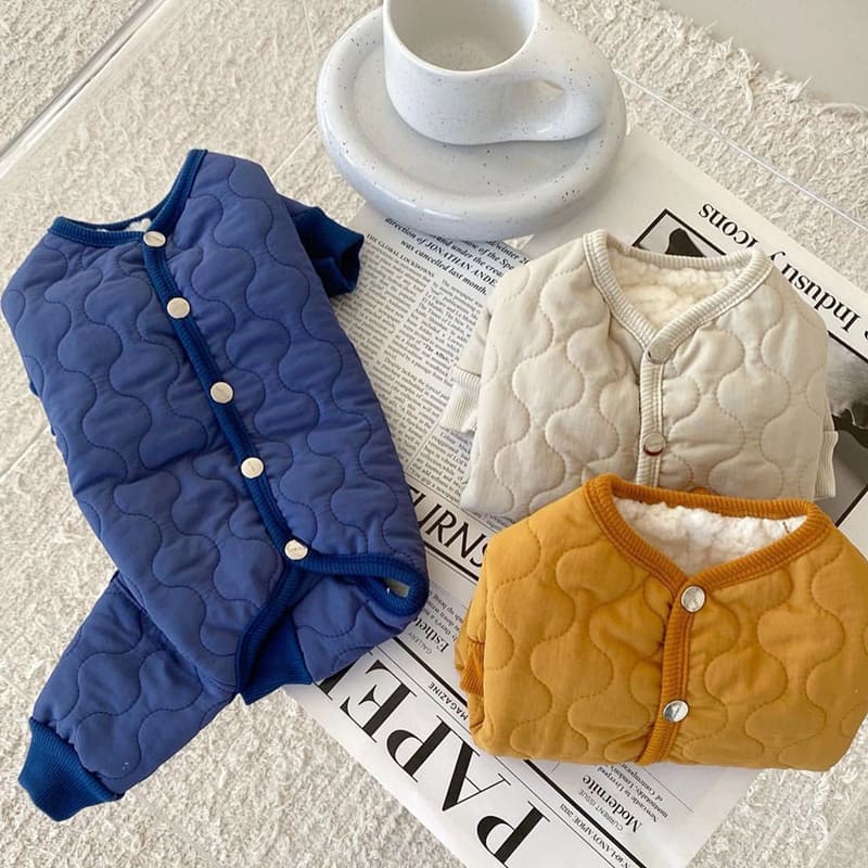 Teddy Thickened Bomei Clothes Than Bear