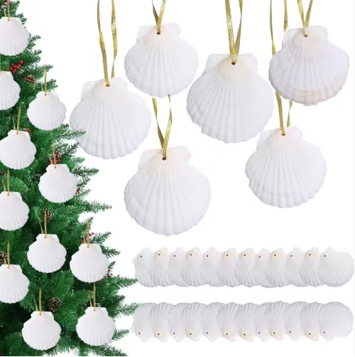 Seashells For Crafting Christmas Ornaments 24pcs 2-3 Inch Hanging Sea Shells Natural White Scallop Shells For Crafts view 2