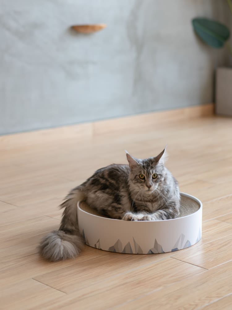 Valley Cat Scratcher Claw Sharpener Corrugated Cat Litter view 5