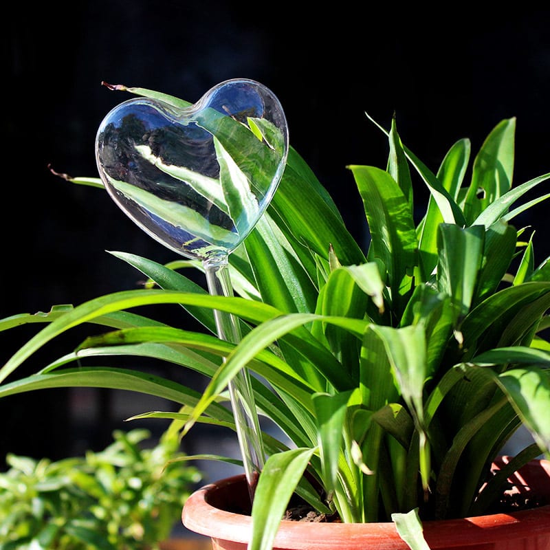 Green Plant Potted Automatic Watering Device view 5
