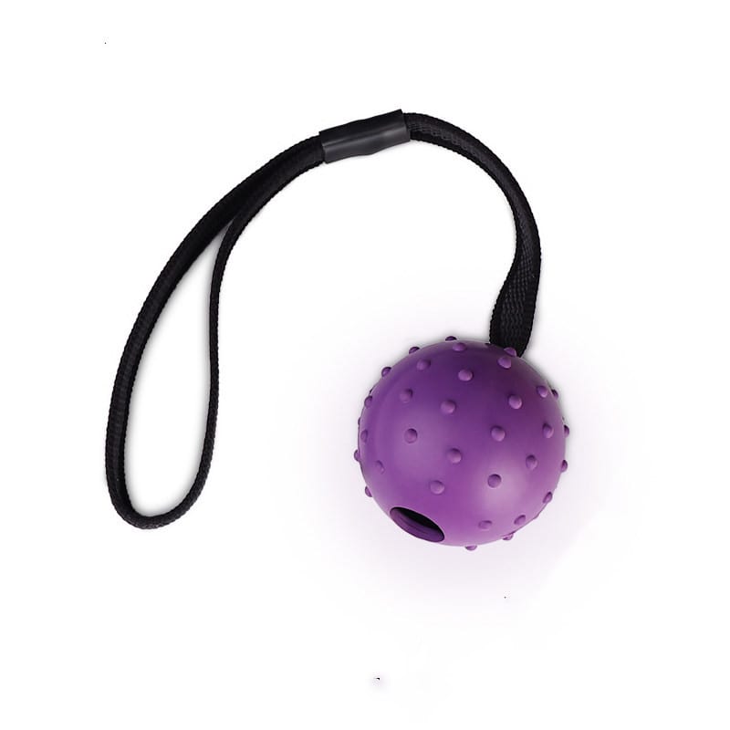 Dog Training Bite Resistant Rubber Ball Small Medium-sized Large Dog Horse Dog Bianmu Molar Toy Ball view 1