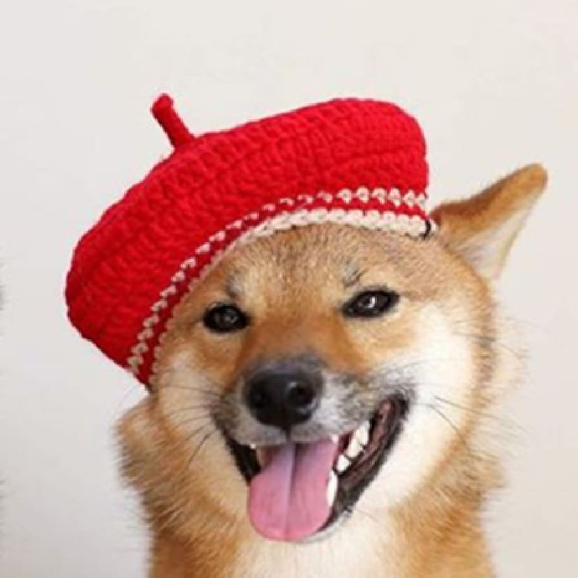 DIY Mini Mixed Color Hand-knitted Beret Cute Pet view 6