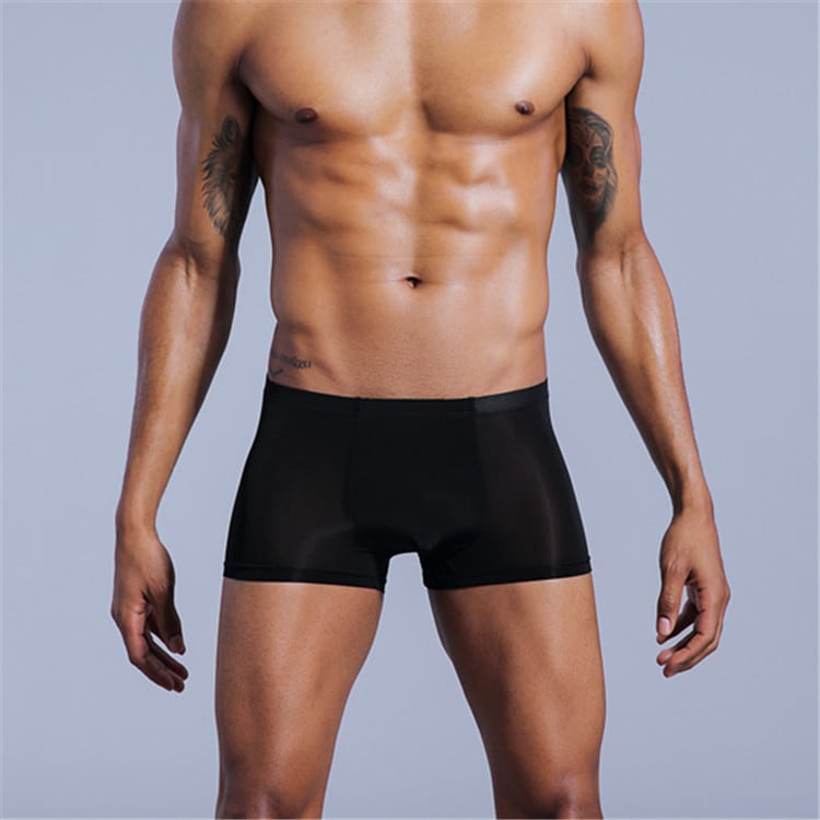 Men's Underwear Nylon Ice Silk Comfort Boxers view 3