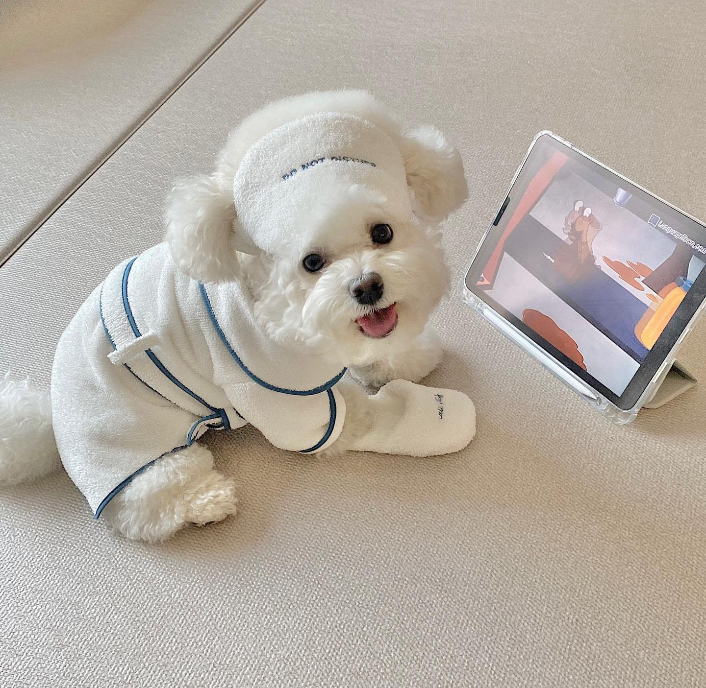 Hotel Pet Bath Towel Bathrobe Photo Props view 6