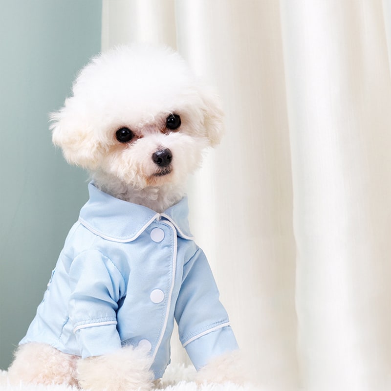 French Small Incense Style Fighting Pet Clothes Dog Pajamas view 3