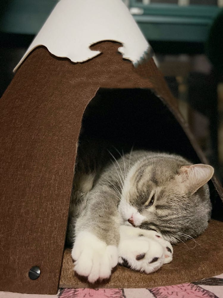 Snow-top Cat Litter Closed Warm Pet Tent view 3