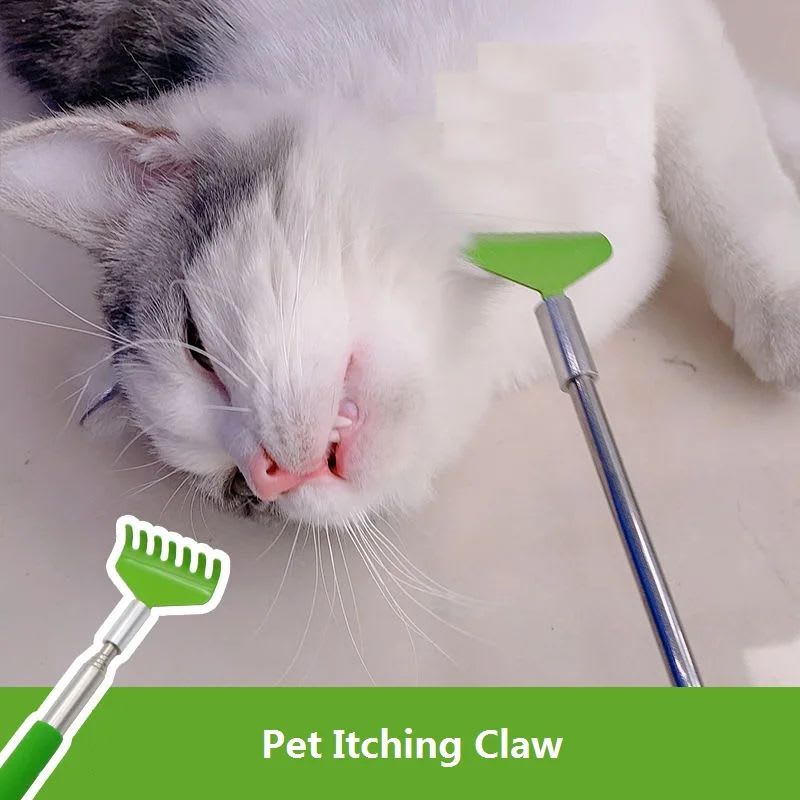 Cat Interactive Scratching Toy Massage Brush Pet Products Cat Scratching view 3