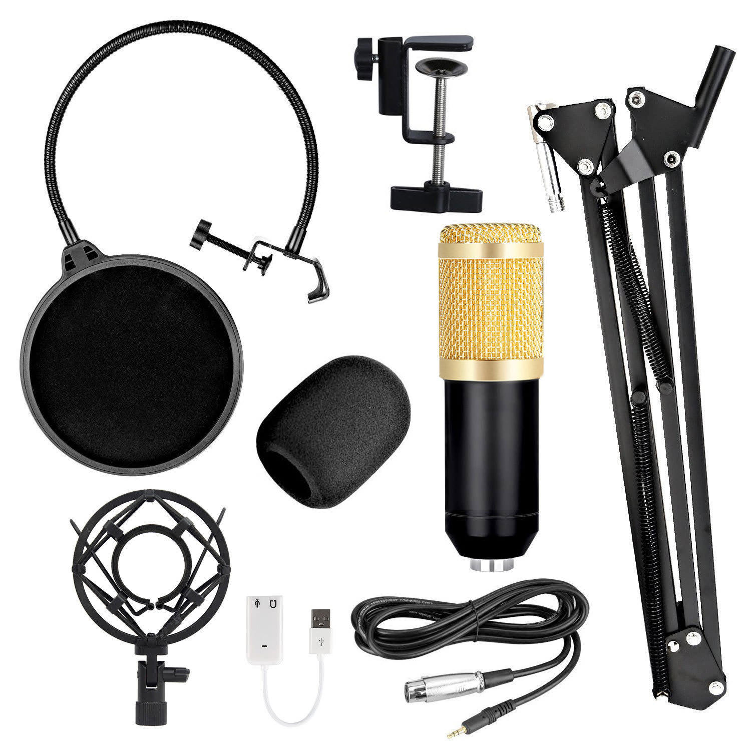 Shouting Microphone Recording Live K Song Podcast view 6
