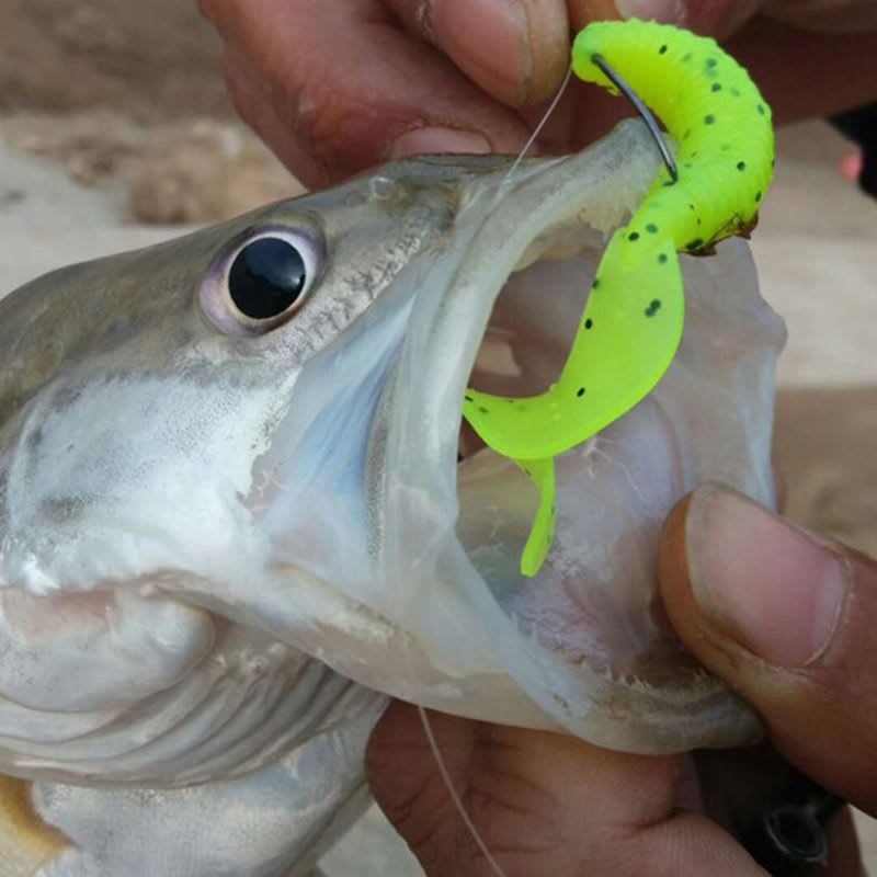 Bait Lead Head Hook Capuchin Maggot Mandarin Fish General Purpose view 5