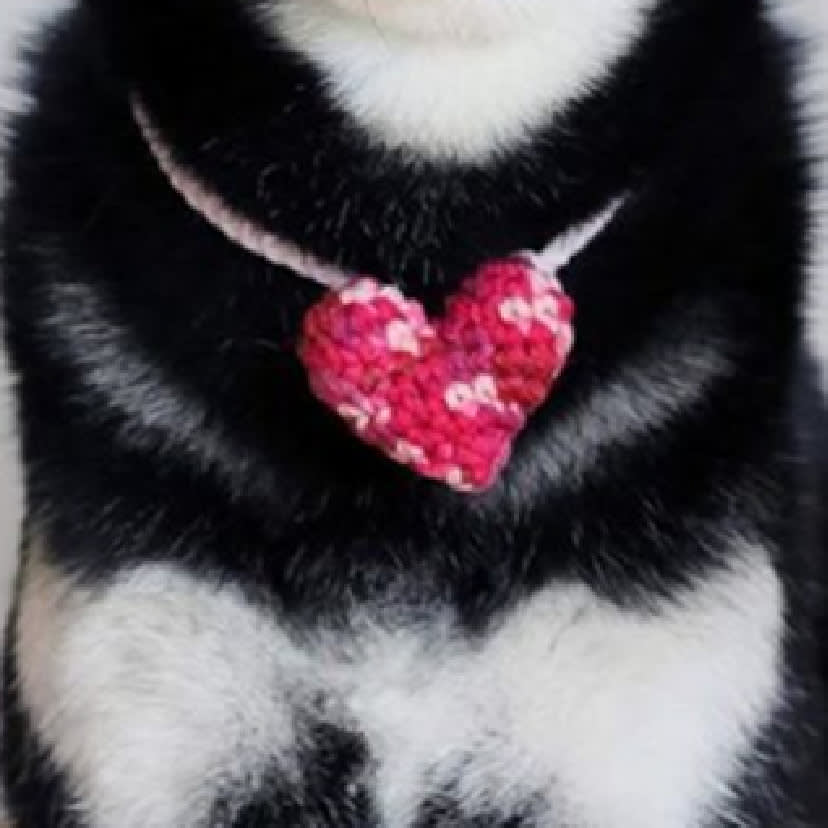 DIY Mini Mixed Color Hand-knitted Beret Cute Pet view 2