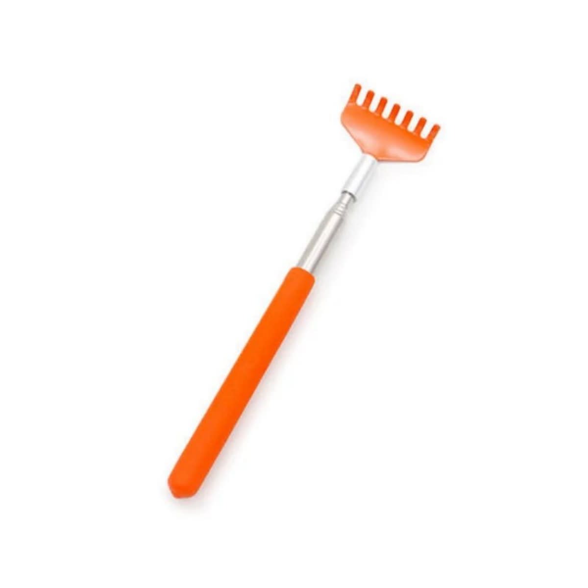Cat Interactive Scratching Toy Massage Brush Pet Products Cat Scratching view 4
