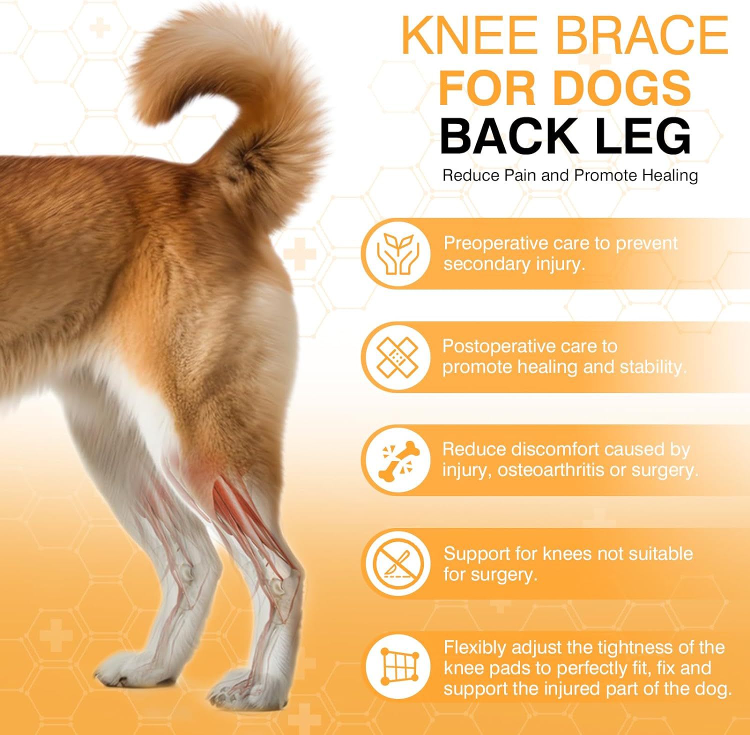 Leg Protector For Dogs Knee Brace Auxiliary Belt Joint Protection Pet Supplies Great Deal view 2